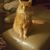 Kay Kort's profile image