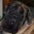 Janice Walsh's profile image