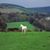 Anne Kelly's profile image