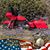 James T Johnson's profile image