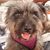 Patricia Bird's profile image