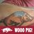 Craig Cook's profile image