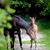 Larry Deamud's profile image