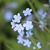 Lynnette Craft Gort's profile image