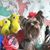 Jan Osborn Taylor's profile image