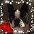 Brenda Bostons's profile image