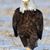 Courtney Risser's profile image
