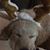 Tiffany Andres's profile image