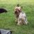 Shirley Twilliger's profile image