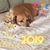 Lynn Smith-Yarbrough's profile image