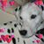 Kathleen Easterday's profile image