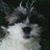 Michelle Bolinski's profile image
