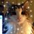 Jim Armel's profile image