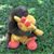Charlotte Dragotta's profile image