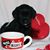 Sally Tatman Pointer's profile image