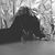 Yrka Pictured Prague's profile image