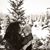 Kimberly Izzi's profile image