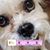 Janel Cantu's profile image