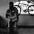Pat McCash's profile image
