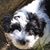 Maureen McGuinness's profile image