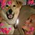 Valerie Barker's profile image