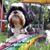 Stevie Rae Vaughn's profile image