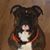 Missy Near's profile image