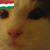 Ann Taylor's profile image