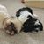 Linda Pearson's profile image