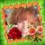 Christine Harold's profile image