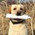 Taylor Beecher's profile image
