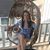 Ashley Armbruster's profile image