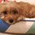 Irene Russell- Holmes's profile image