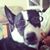 Kelly Peters Leveroni's profile image