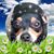 Veronica Horton's profile image