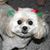 Joy Williams's profile image