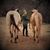Tracy Mawson's profile image