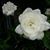 Juliana Lowery's profile image