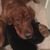 Cathy Carter's profile image