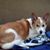 Debra Kesner McLaughlin's profile image