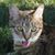 Jennifer Koziol's profile image