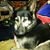 Pandora Pennington Andrade's profile image