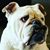 Lori Wienke-leger's profile image