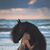 Cathy Hargrove English's profile image