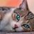 Kimberly Folk McMillan's profile image