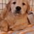 Susan L. Cooper's profile image
