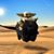 Kim Nottingham's profile image