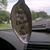 Rosemary Gonzvar's profile image