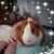 Betty Pingel's profile image