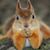 Corless Jones's profile image